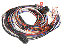 [62207] MoTeC M130 Wiring Loom